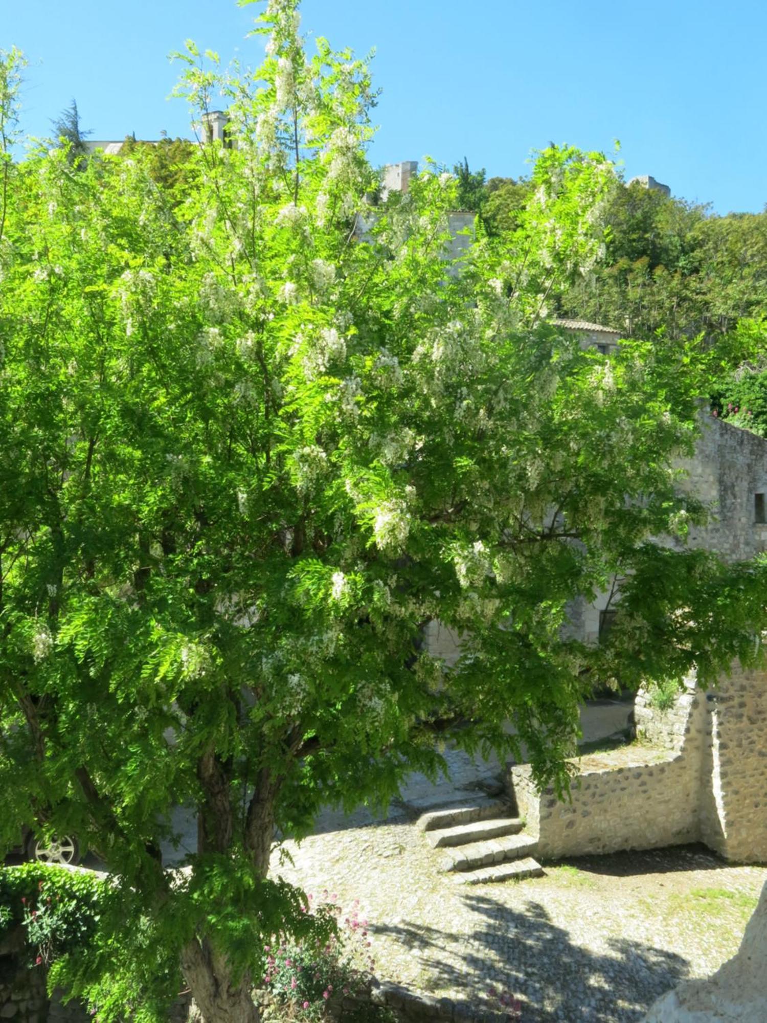La Buissonniere Bed & Breakfast Oppède Dış mekan fotoğraf